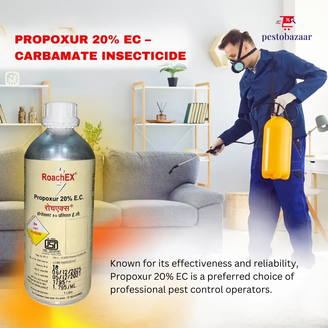 Roachex